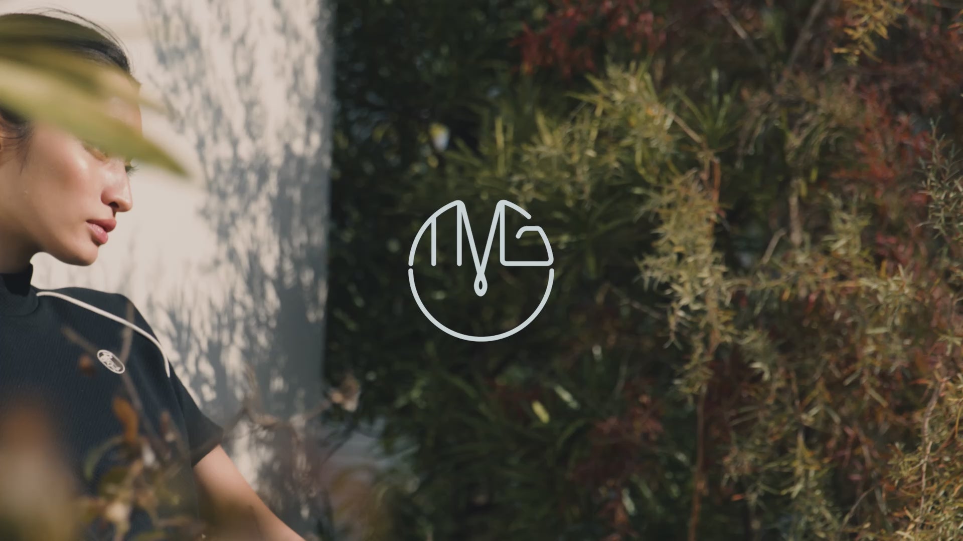 動画を読み込む: 